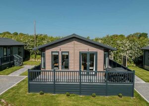 Medbourne Edge 31